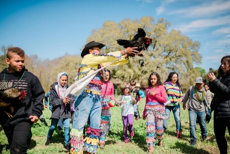 7 Essential Experiences in Southwest Louisiana