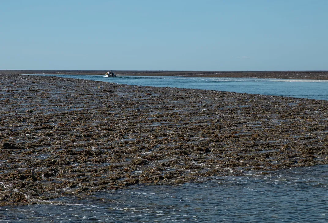 Montgomery Reef is in Lalang-gaddam