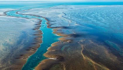 For Three Hours Every Day, Open Ocean Transforms Into Australia's 'Ghost' Reef