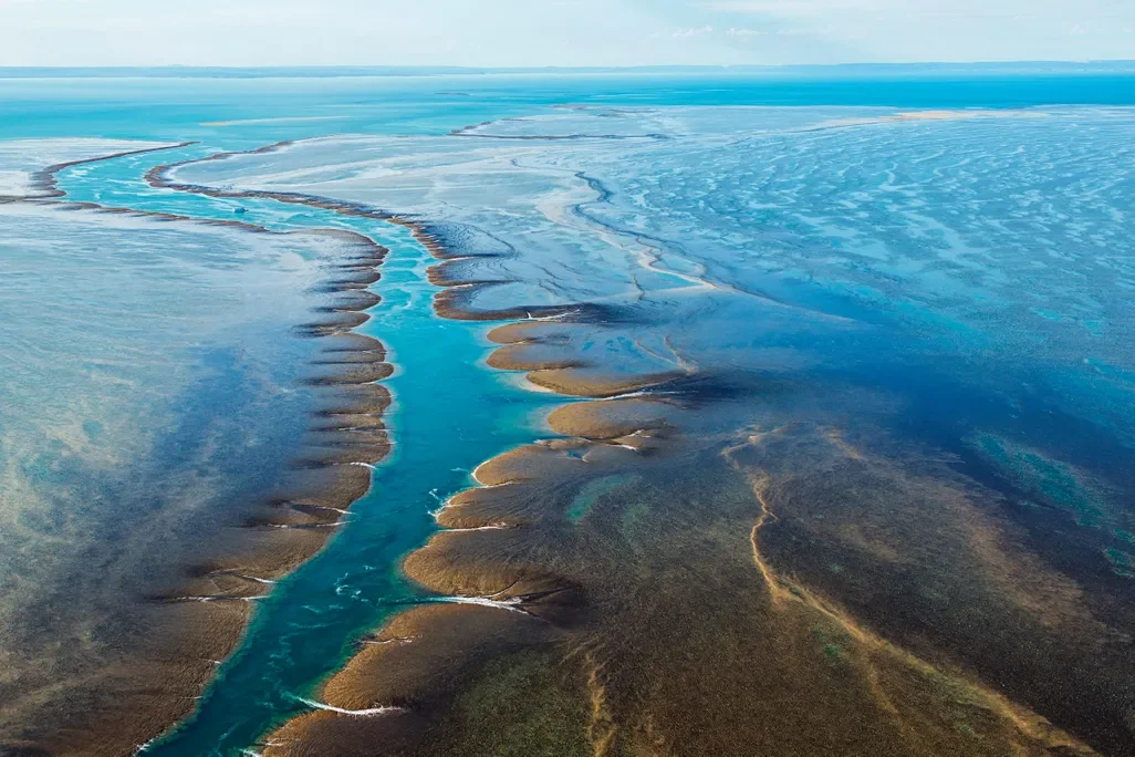 Aerial view of Montgomery Reef